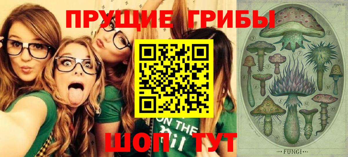 Псилоцибиновые грибы Psilocybe  Вход с VPN  Коряжма  Галлюциногенные грибы ЛСД 