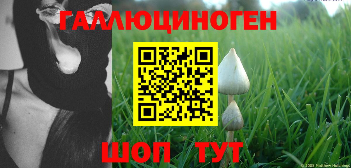 Галлюциногенные грибы мухоморы Коряжма